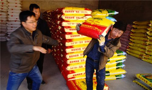 陇西县柯寨镇农资发放